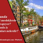 Hollanda’da Çevirmen Maaşları 2025 – Ne İş Yapar? İş İmkanları!